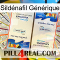 Sildénafil Générique kamagra1